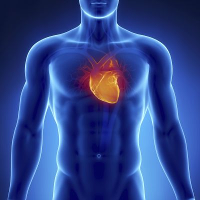 Biomarkers for cardiovascular disease