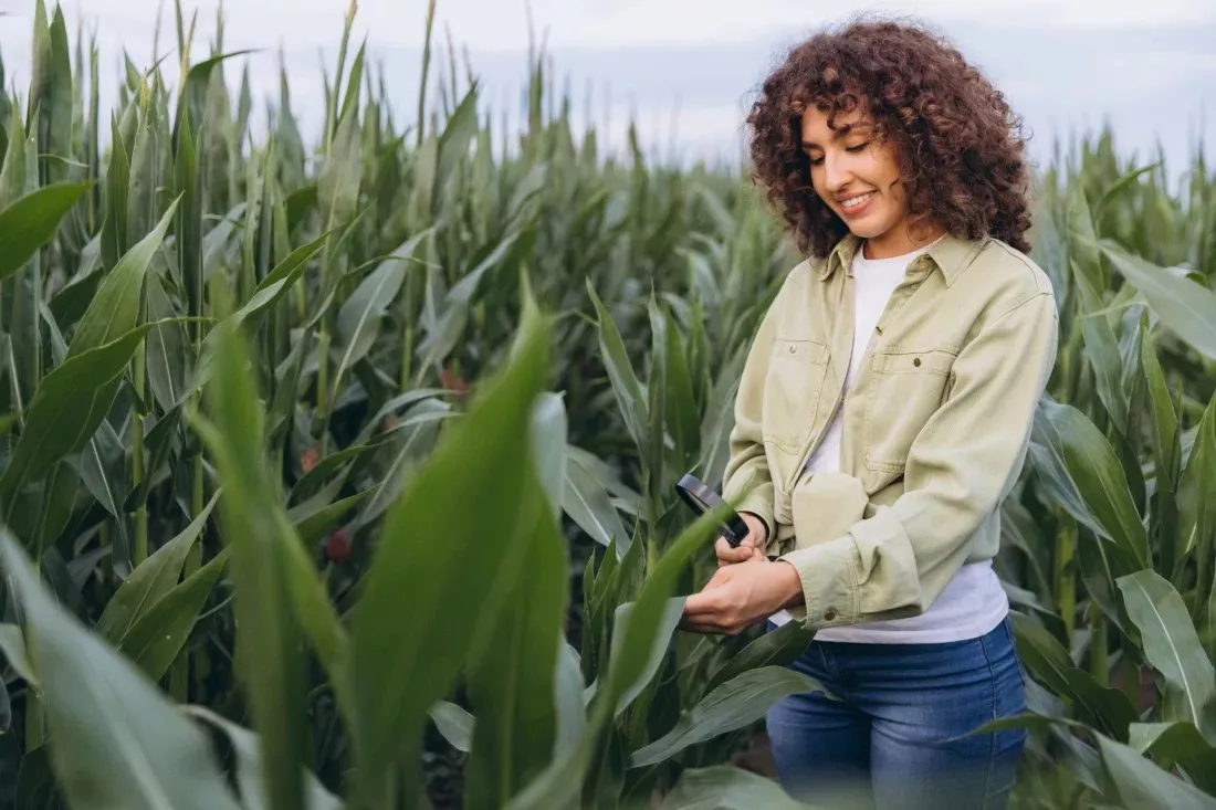 Agronoma examina con una lupa las hojas de maiz en el campo