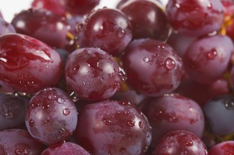 Carbon dioxide protects cold grapes