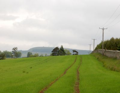 Tramlines and power poles near East_Bolton