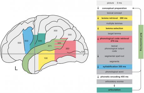 Activation time course of brain areas involved in word production